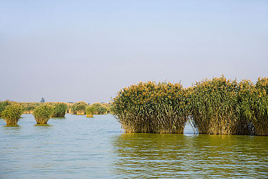 监狱奴役支配性狂虐：极速求生，改装突围，在钢铁赛道夺取最终自由-2