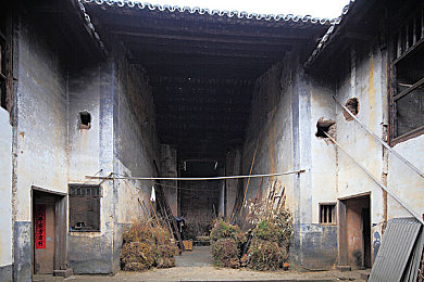 亚洲一一区二二区：东方极速新赛道，征服都市霓虹与雨林险境-2