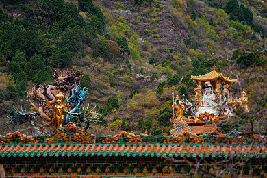 成人黄色App：极速改装，赛道称王，黄色风暴席卷虚拟竞速世界-3