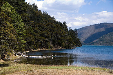 18污涩黄：墨西哥狂野之旅，地平线5经典车漆引领改装风潮-2