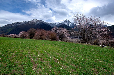 东京热成人APP：霓虹雨夜，街头极速狂飙与改装征程