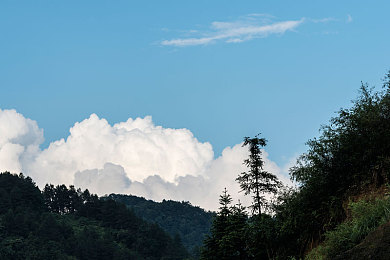 黄色软件大全oppo版：极速狂飙，移动竞速盛宴在OPPO设备上震撼开启-4