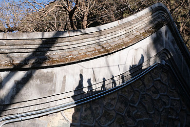 汤不热视频:疾驰与冷静的永恒博弈,引擎温度决定终点线归属-3