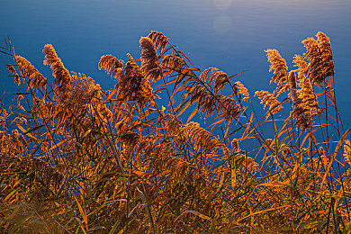 911爆料网：暗影疾驰，情报竞速中的终极阴谋对决-4