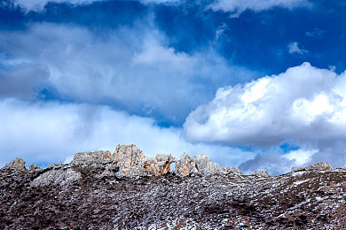 色综合色综合：极限调校艺术，墨西哥赛道上的平衡哲学-4