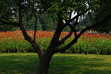 黄色软体软件：极速幻影革新驾驶体验，动态适应系统让过弯如丝般顺滑-3