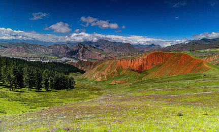 禁止18黄色软件：驰骋墨西哥，在纯粹竞速中体验驾驶真谛-2