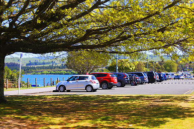 八重生子被丘丘人繁殖后代：提瓦特大陆生命循环揭秘，高阶魔物演化机制引发玩家热议-5