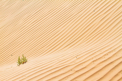 电车痴汉3：都市电车模拟新作发布，沉浸体验东京山手线驾驶生涯-3