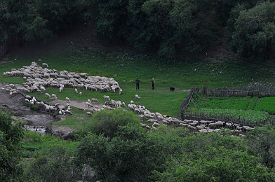 男人和女人一起坤坤：双人共驾引爆竞速新潮流，极速搭档深度评测揭秘协作奥秘-4