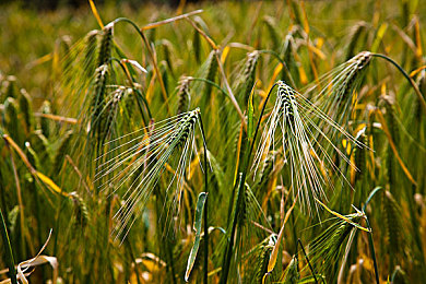 国产成人91 张津瑜:本土竞速新作发布,九十一赛道重塑都市飙车传奇-2