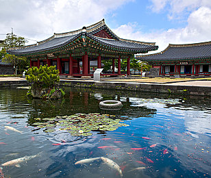 男人被调教：驾驭物理法则，从油门莽夫到赛道大师的终极蜕变