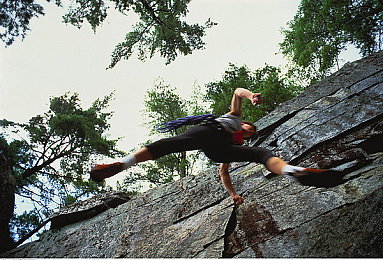 女生逼软件：独立游戏新作打破类型壁垒，硬核赛车与AI伴侣养成系统碰撞出奇妙体验-2