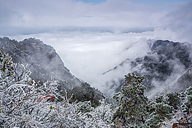 刘亦菲B站视频播放量排行你先发给我：当古典仙韵遇见开放世界，沉浸捏脸与冰系功法塑造专属超凡角色-2