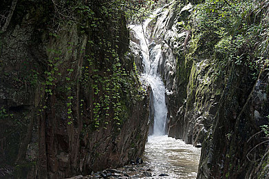 软件下载3.0.3每天无限次破解版大全苹：赛博车手破解都市规则，全新竞速游戏颠覆传统玩法今日上线-2