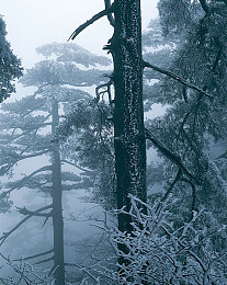 91抖音：极速剪辑师，赛道网红争霸风云录-3