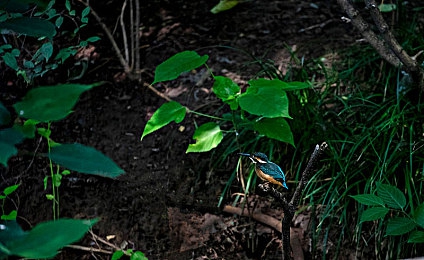 色多多污给大家科普：当赛车遇见色彩解谜，体验速度与视觉的双重挑战-4