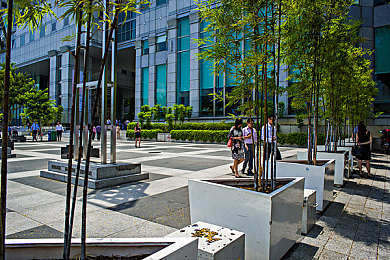 打屁股调教：硬核调校模拟新作今日上线，驯服失控赛车成终极挑战-2