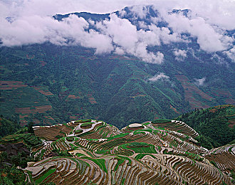 罚坐三角架尖尖可以坐一晚上吗:虚拟驾驶座上的无尽长夜,耐心与技巧的终极试炼-3