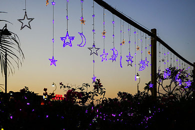 免费oppo版破解大全免费下载：OPPO设备畅玩极品飞车无限，官方优化攻略与安全下载指南全解析-2