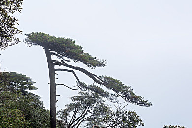 在床上拔萝卜：机甲农耕纪元，未来种植床上的精密收获革命-3