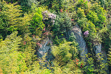 阿娇13分钟：极限车神之龙脊山道，十三分钟终极试炼全解析-3