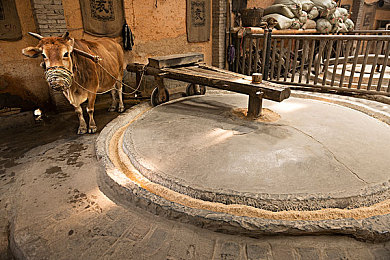 神秘网站隐藏入口：极速深渊，加密赛道中的虚拟狂飙与谜境突围-1