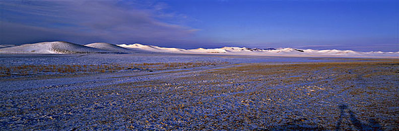 303免费oppo版破解免费下载：极速光影，赛道风云，移动竞速新纪元开启-2