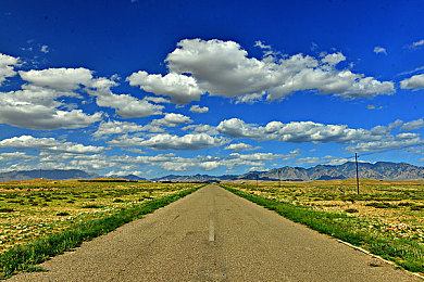 不穿衣服的软件：硬核赛车模拟游戏风靡，极致物理引擎带来纯粹驾驶体验-2