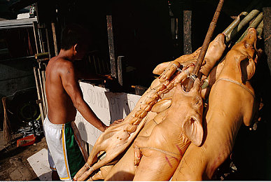 亭亭玉立国色：青花瓷赛车疾驰，水墨氮气渲染东方竞速新境界-5