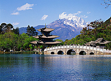 www huangse：疾速美学，赛道上的亮黄风暴席卷游戏世界-1