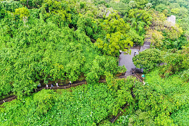 manta uzun, haya, uzunkino：揭秘三大隐藏赛道，征服极限公路的拟真驾驶艺术