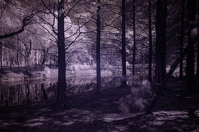 美女不穿衣服视频软件:赛博竞速新作上线,数据剥离玩法颠覆传统赛车游戏-2