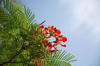 推特9.高危风险破解版：硬核竞速新作上线，真实驾驶体验与专业调校攻略全解析