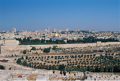 同性Gay网红小鲜肉暴菊：极速新星，尾流突袭与多元车手传奇