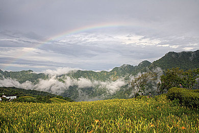 男生女生做那个软件:极限竞速,双人共驾,虚拟赛道上的真实情感实验室-2