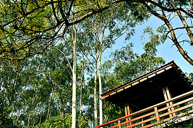 王者荣耀女角色全身没有小爱心图片冫：冷峻美学与战场谋略，英雄设计的深层博弈-3