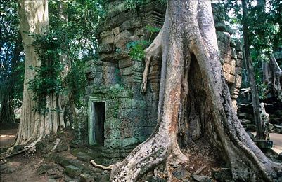 男女差差差网站：极速进化新作颠覆传统，性别差异打造独特赛车策略体验-1