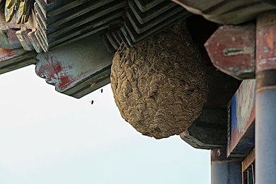 男人和女人差差APP：极速方程式，驾驶风格的双生赛道与策略选择-1