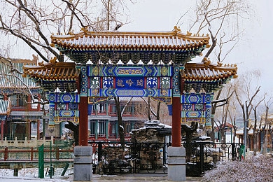 男人捅女人的app：竞速与暗影交织的双面都市传奇