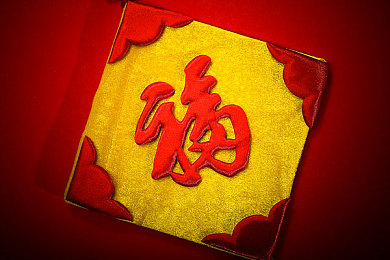 女人与宠物性猛交狂配：极速伴侣革新赛车体验，人车合一引爆赛道激情-2