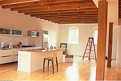 黄APP大全：极限竞速地平线5，稀有涂装收集全攻略与独家技巧