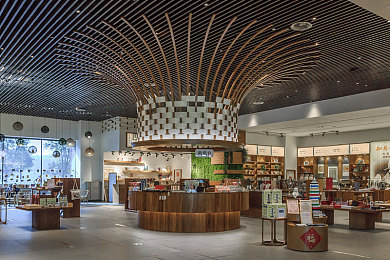 业余 自由 成熟 亚洲人：《极限竞速：地平线5》评测，新手如何快速上手墨西哥竞速之旅-3