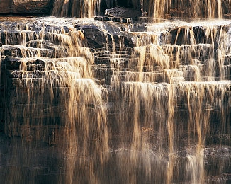 草逼app:荒野疾驰,求生竞速,绿色迷踪中的燃料战争-4