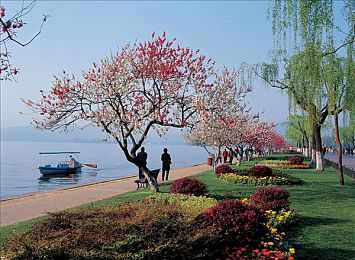 火影 18变态版：疾风竞速新体验，忍术赛车颠覆传统游戏改编-3