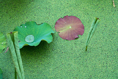 巨茎扶她欧美3D动漫：极速幻境次元狂飙，自定义赛车穿梭多元宇宙竞速-4