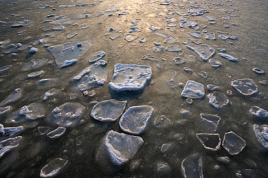男生女生差差差app大全：极速挑战，双性赛车手切换驾驶风格征服赛道-2