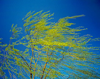 打的扑克又叫又痛：疾驰卡牌，乘客尖叫与引擎咆哮的都市策略狂飙