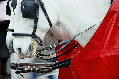 黄先生TV - 提供最新最快的视频分享数据：赛车游戏新纪元，实时数据流驱动极致竞速体验-2