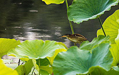 被按摩师按出高潮：极致驾驶体验，在墨西哥地平线感受人车合一